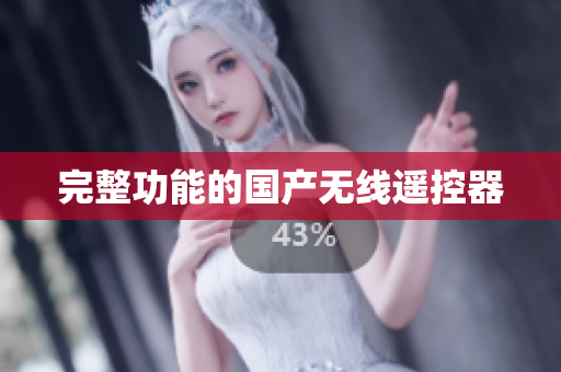 完整功能的国产无线遥控器