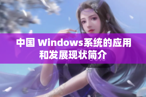 中国 Windows系统的应用和发展现状简介