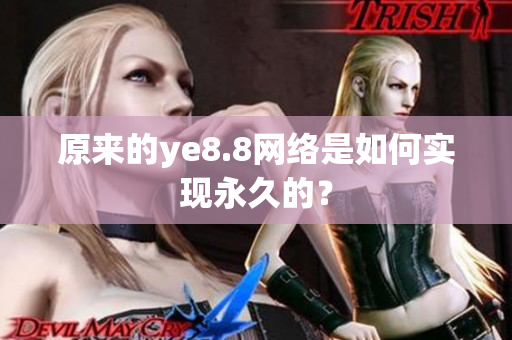 原来的ye8.8网络是如何实现永久的？