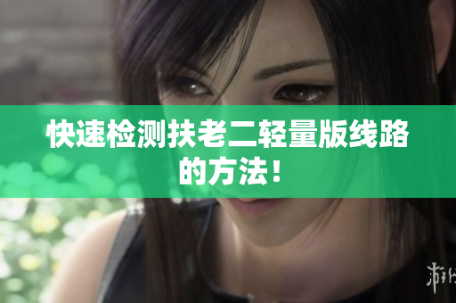 快速检测扶老二轻量版线路的方法！