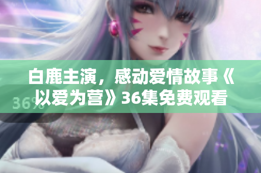 白鹿主演，感动爱情故事《以爱为营》36集免费观看