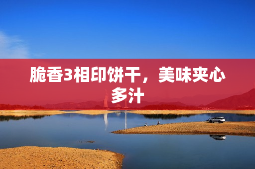 脆香3相印饼干，美味夹心多汁