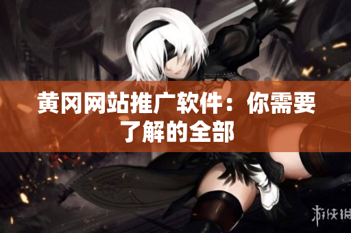黄冈网站推广软件：你需要了解的全部