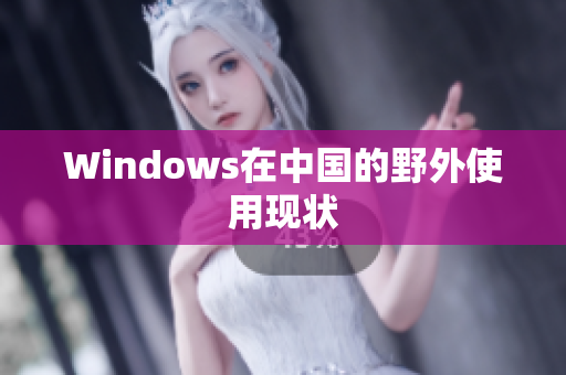 Windows在中国的野外使用现状