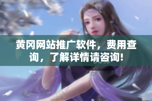 黄冈网站推广软件，费用查询，了解详情请咨询!
