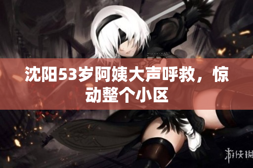 沈阳53岁阿姨大声呼救，惊动整个小区