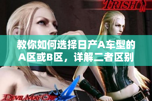 教你如何选择日产A车型的A区或B区，详解二者区别