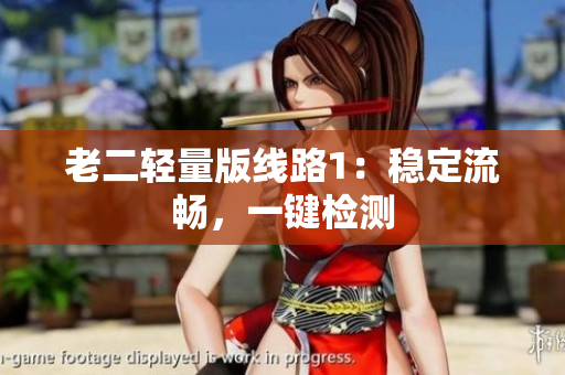老二轻量版线路1：稳定流畅，一键检测