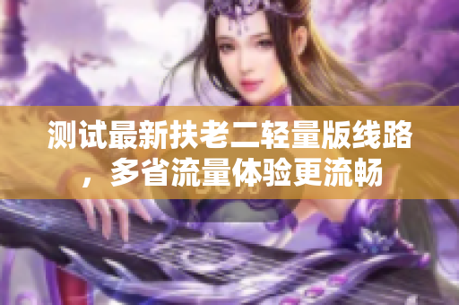测试最新扶老二轻量版线路，多省流量体验更流畅