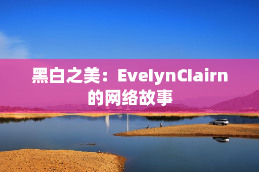 黑白之美：EveIynCIairn的网络故事