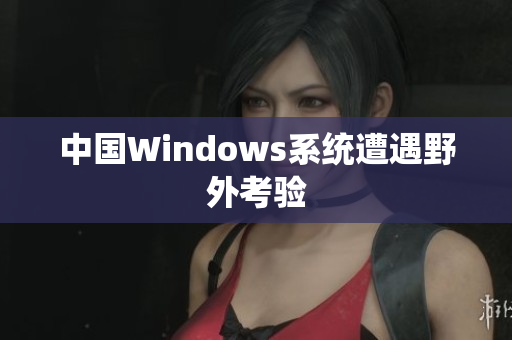中国Windows系统遭遇野外考验