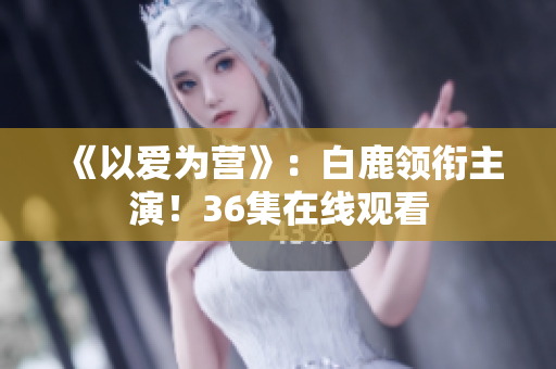 《以爱为营》：白鹿领衔主演！36集在线观看