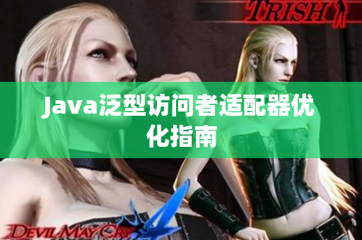 Java泛型访问者适配器优化指南