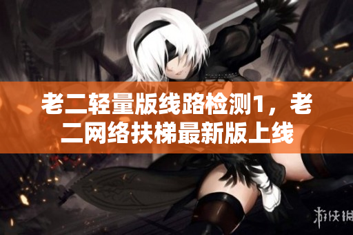 老二轻量版线路检测1，老二网络扶梯最新版上线