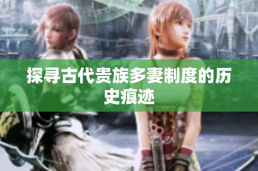 探寻古代贵族多妻制度的历史痕迹