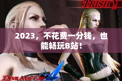 2023，不花费一分钱，也能畅玩B站！