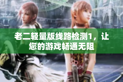 老二轻量版线路检测1，让您的游戏畅通无阻
