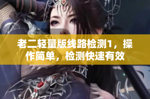 老二轻量版线路检测1，操作简单，检测快速有效