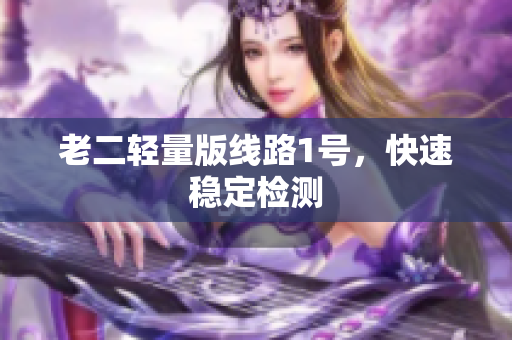 老二轻量版线路1号，快速稳定检测