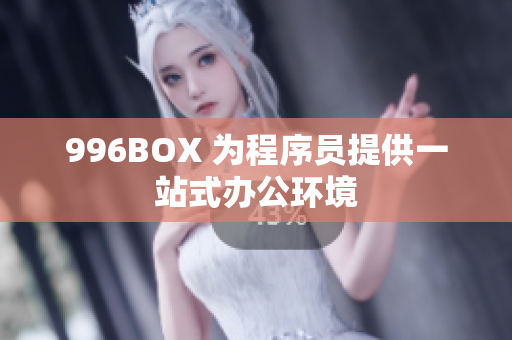 996BOX 为程序员提供一站式办公环境