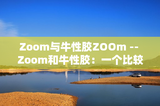 Zoom与牛性胶ZOOm -- Zoom和牛性胶：一个比较
