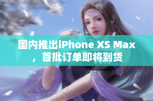 国内推出iPhone XS Max，首批订单即将到货