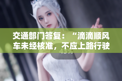 交通部门答复：“滴滴顺风车未经核准，不应上路行驶”