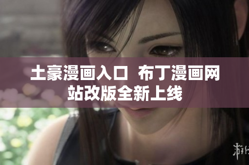 土豪漫画入口  布丁漫画网站改版全新上线