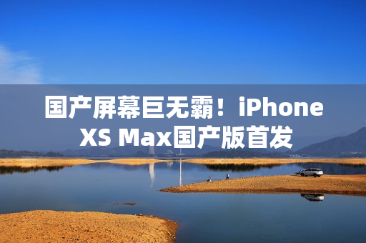 国产屏幕巨无霸！iPhone XS Max国产版首发