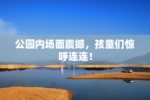 公园内场面震撼，孩童们惊呼连连！