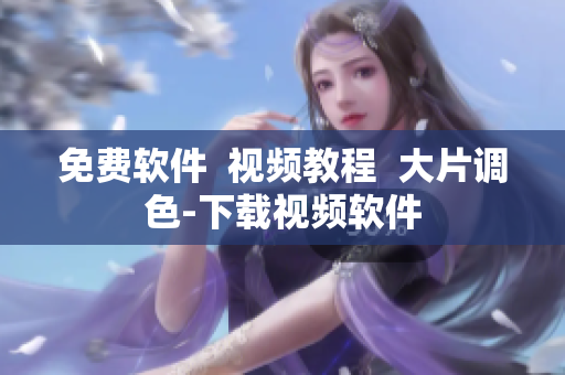 免费软件  视频教程  大片调色-下载视频软件