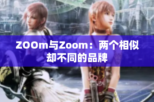 ZOOm与Zoom：两个相似却不同的品牌