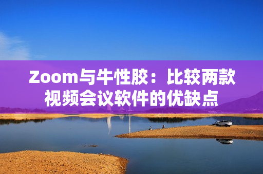 Zoom与牛性胶：比较两款视频会议软件的优缺点