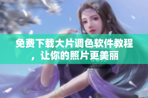 免费下载大片调色软件教程，让你的照片更美丽