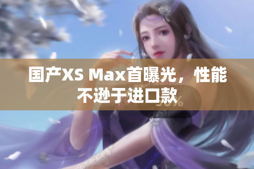 国产XS Max首曝光，性能不逊于进口款