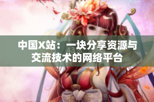 中国X站：一块分享资源与交流技术的网络平台