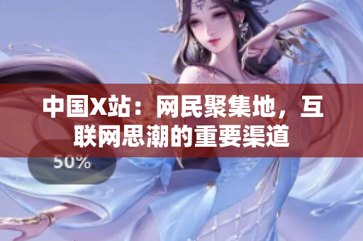 中国X站：网民聚集地，互联网思潮的重要渠道