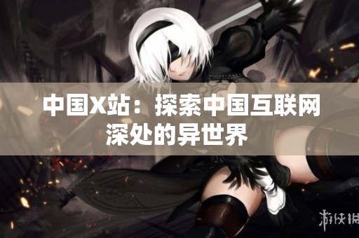中国X站：探索中国互联网深处的异世界 