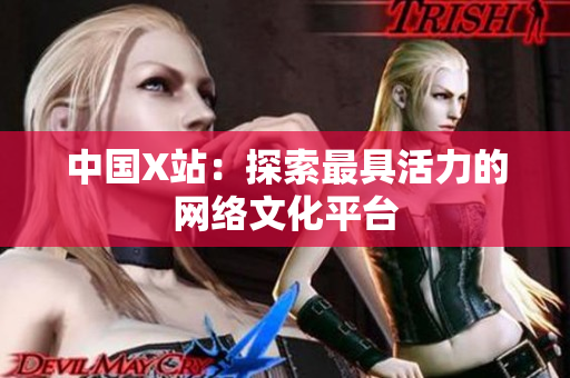 中国X站：探索最具活力的网络文化平台