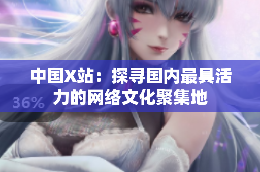 中国X站：探寻国内最具活力的网络文化聚集地