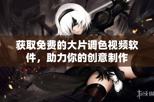获取免费的大片调色视频软件，助力你的创意制作