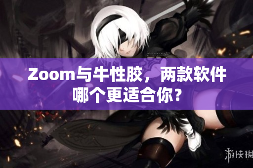 Zoom与牛性胶，两款软件哪个更适合你？