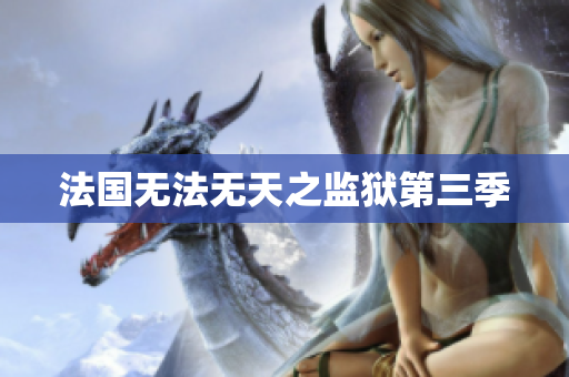 法国无法无天之监狱第三季