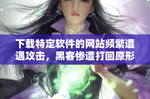 下载特定软件的网站频繁遭遇攻击，黑客惨遭打回原形