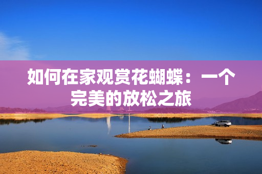 如何在家观赏花蝴蝶：一个完美的放松之旅
