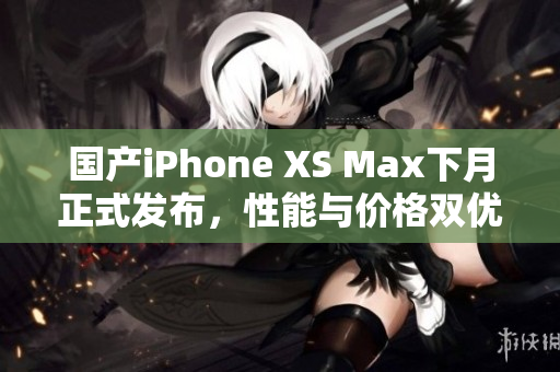 国产iPhone XS Max下月正式发布，性能与价格双优