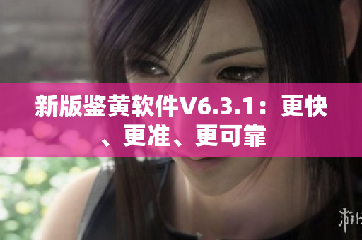 新版鉴黄软件V6.3.1：更快、更准、更可靠