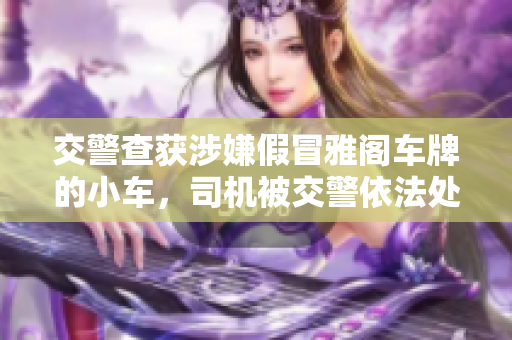 交警查获涉嫌假冒雅阁车牌的小车，司机被交警依法处理