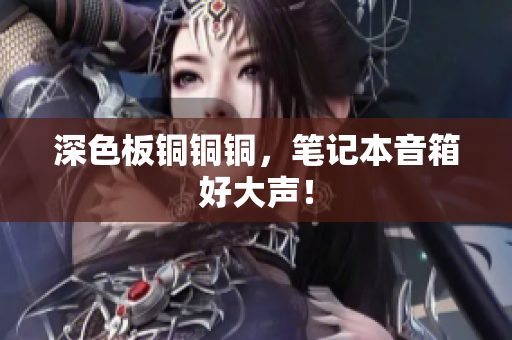 深色板铜铜铜，笔记本音箱好大声！