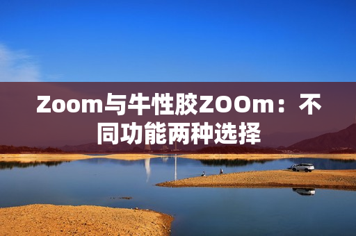 Zoom与牛性胶ZOOm：不同功能两种选择